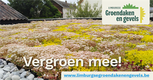 Limburgse groendaken en gevels - Vergroen mee! - www.limburgsegroendakenengevels.be